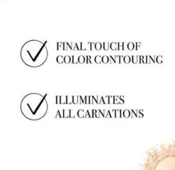 Bourjois Le Petit Strober Highlighter - 00 Universal Glow -Cosmetica Promotiewinkel 1200x1164 96