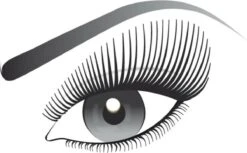 L’Oréal Paris False Lash Telescopic Mascara - Zwart -Cosmetica Promotiewinkel 1200x741 2