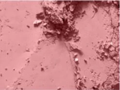 MAC Cosmetics Blush Mocha -Cosmetica Promotiewinkel 1200x906 9